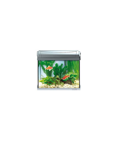 AquaArt LED Aquarium Goldfish 20 l